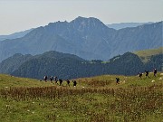 49 Escursionisti sul sent. 101 proveniente dal Passo San Marco